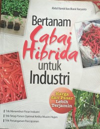 Bertanam cabai hibrida untuk industri