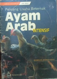 Peluang usaha beternak ayam arab intensif