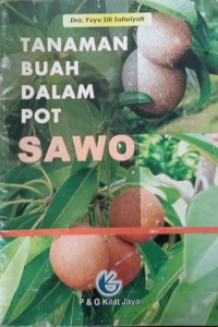 Tanaman buah dalam pot sawo